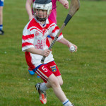 Mini Sevens Hurling