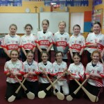 Second Round of Indoor Camogie